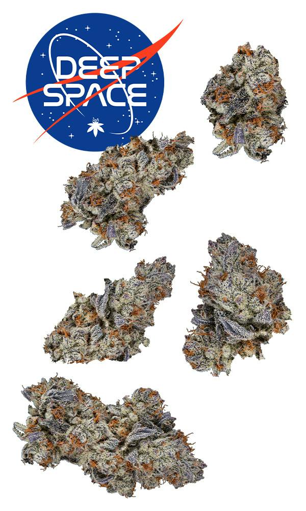 Deep Space #6 7g Juniors