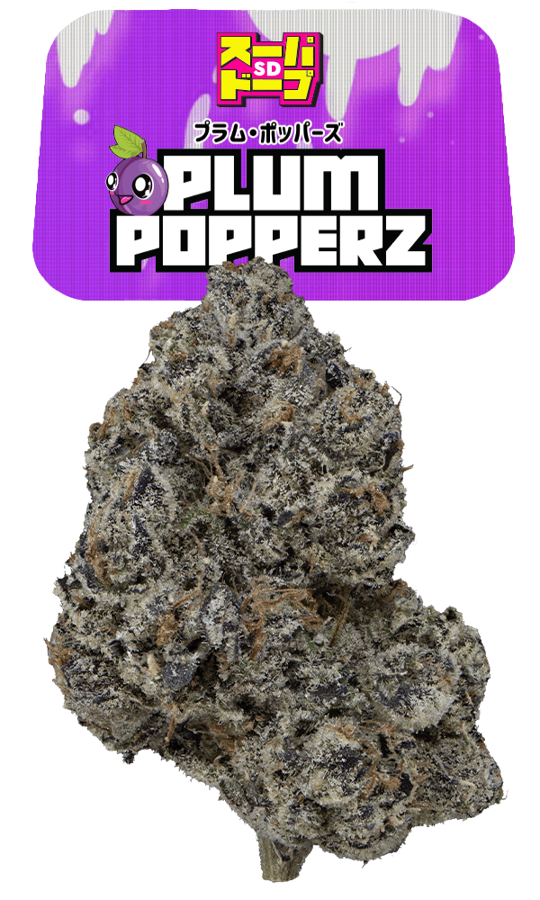 SD Plum Popperz Eighth