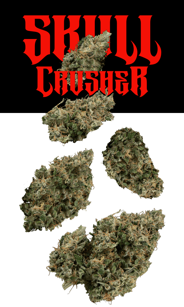 Skull Crusher 7g Juniors