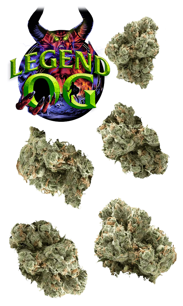 Legend Og Juniors