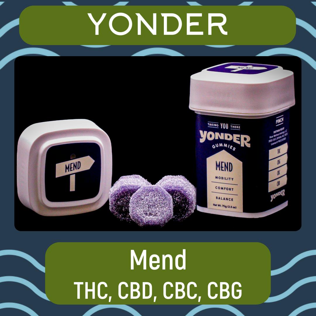 100mg | Mend Blackberry | Yonder