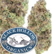Slack Hollow | Blueberry Cupcake (IH) | Flower (3.5g)