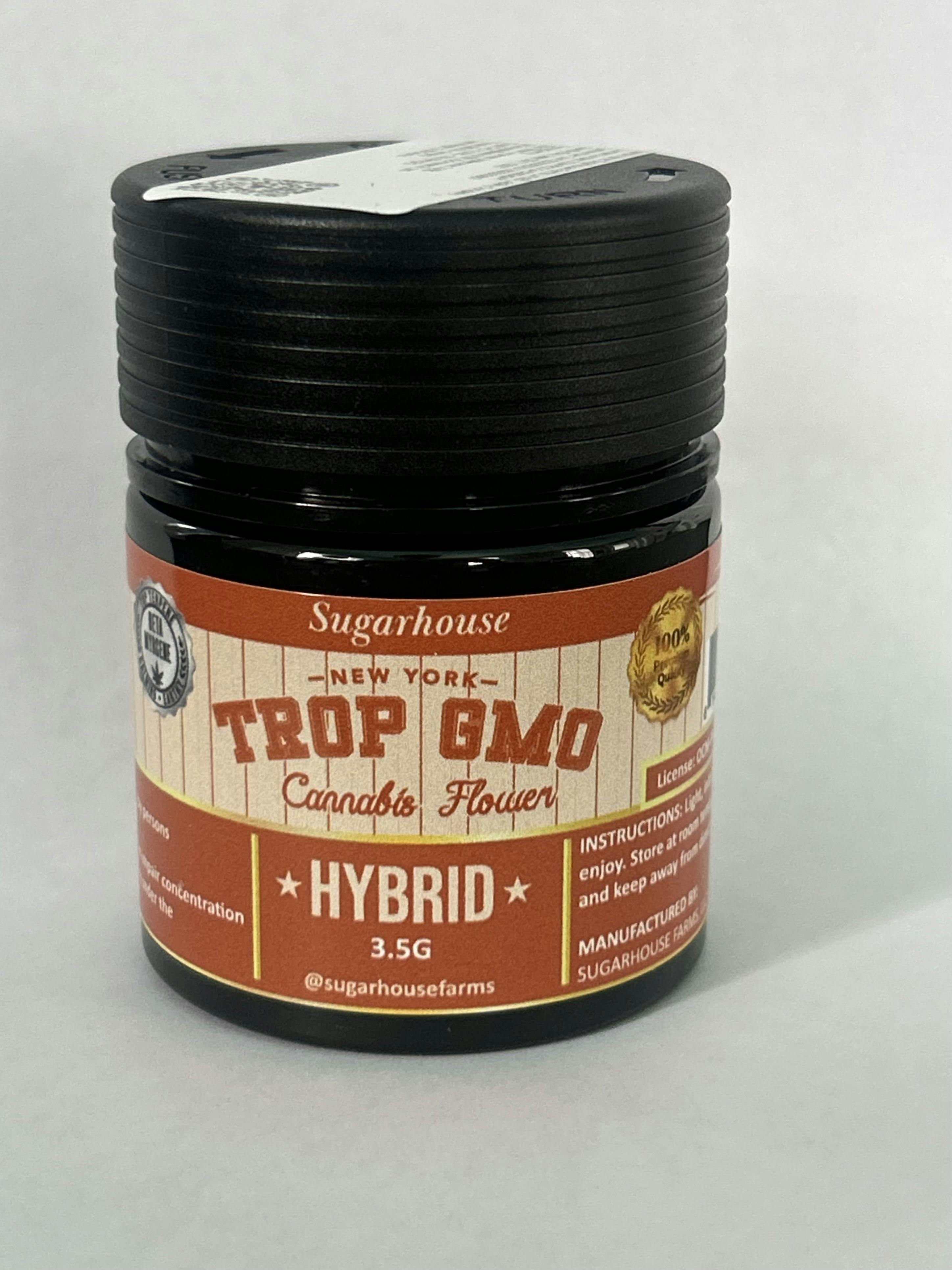 Sugarhouse Farms | Trop GMO (H) | Whole Flower 3.5G at Windy Hill Wellness Cannabis Weed Dispensary - Greenwich