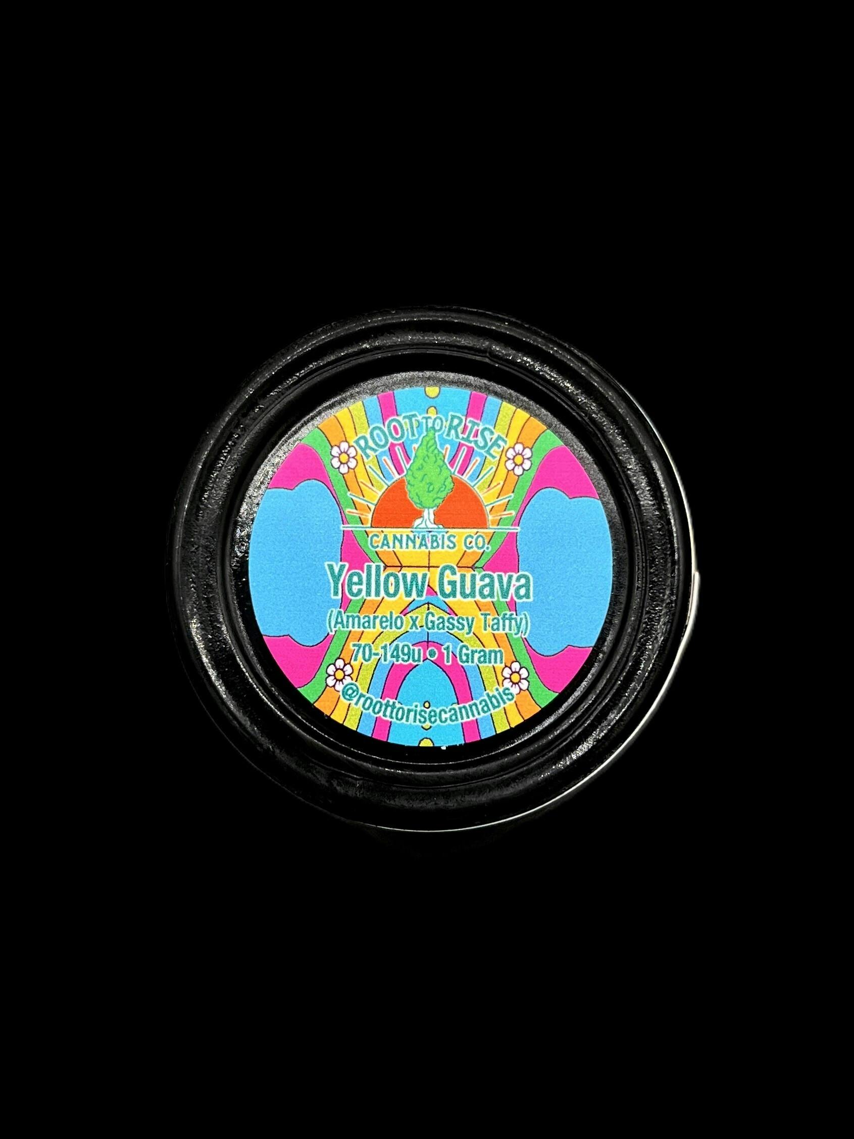 Root to Rise Live Rosin - Yellow Guava