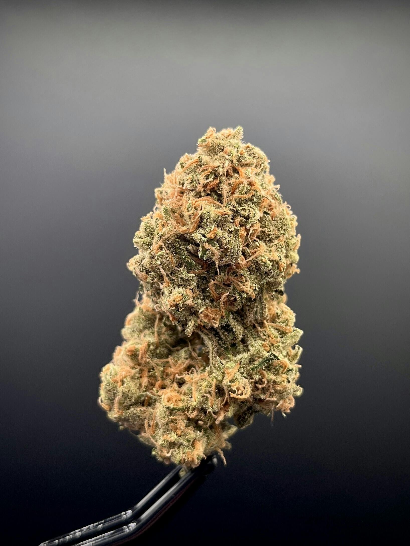 Independence Farm - '97 Super Silver Haze