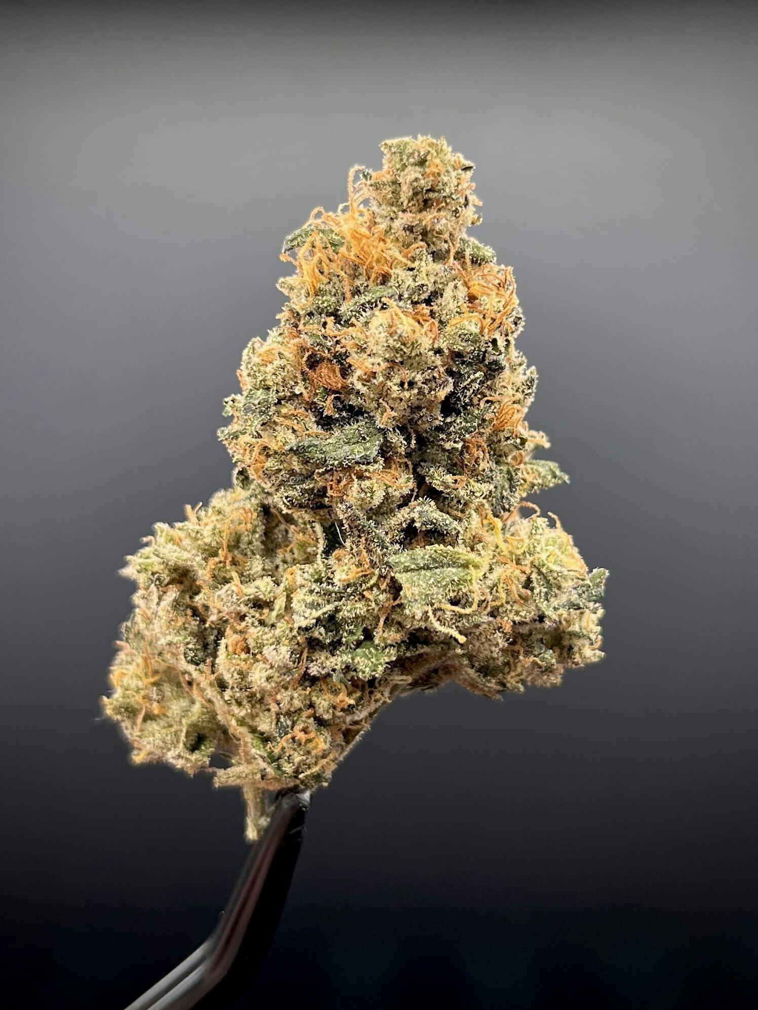 Dolph Craft Cannabis - Banana Double Bubble