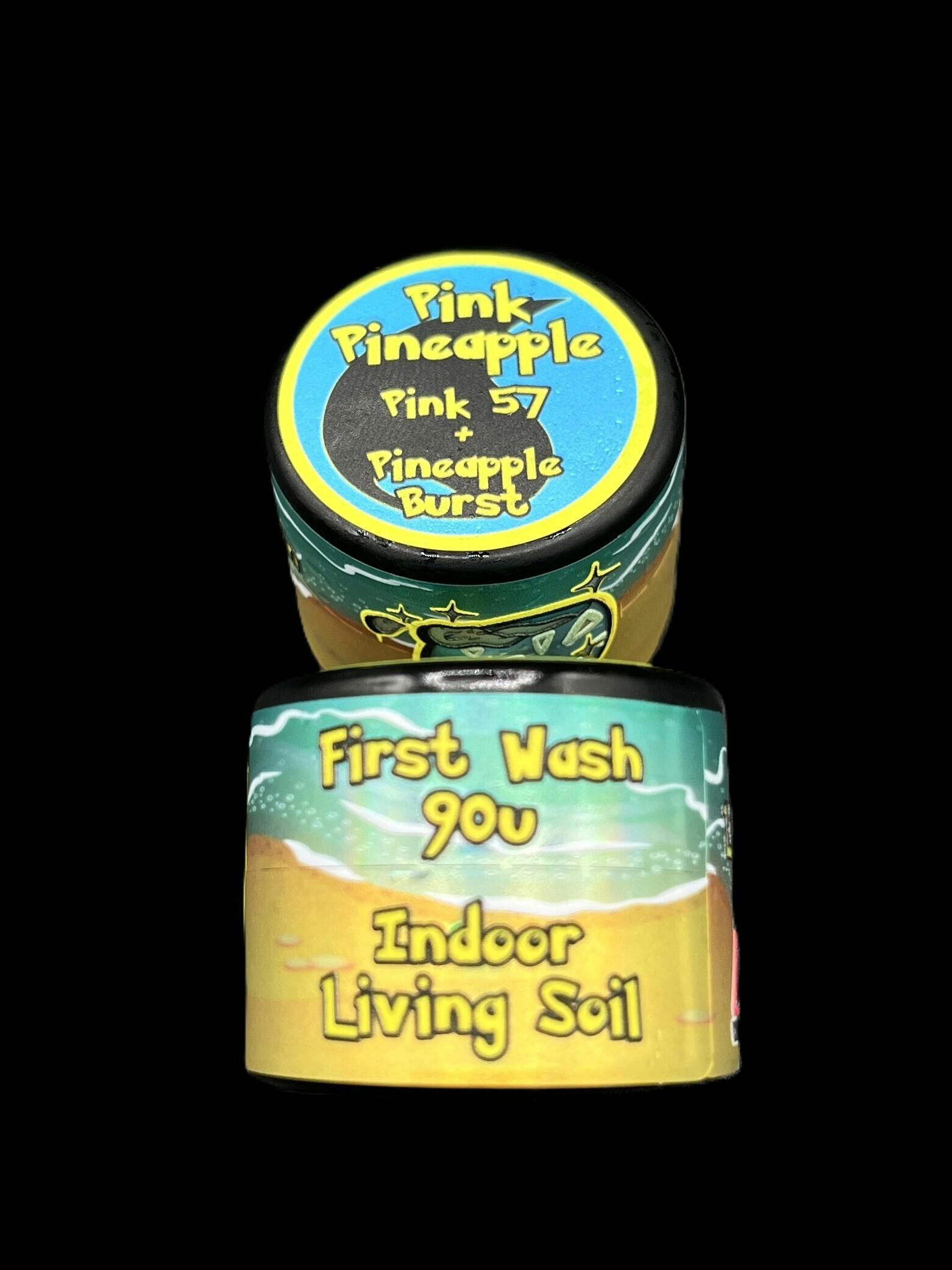Misty's Melts Live Hash Rosin - Pink Pineapple