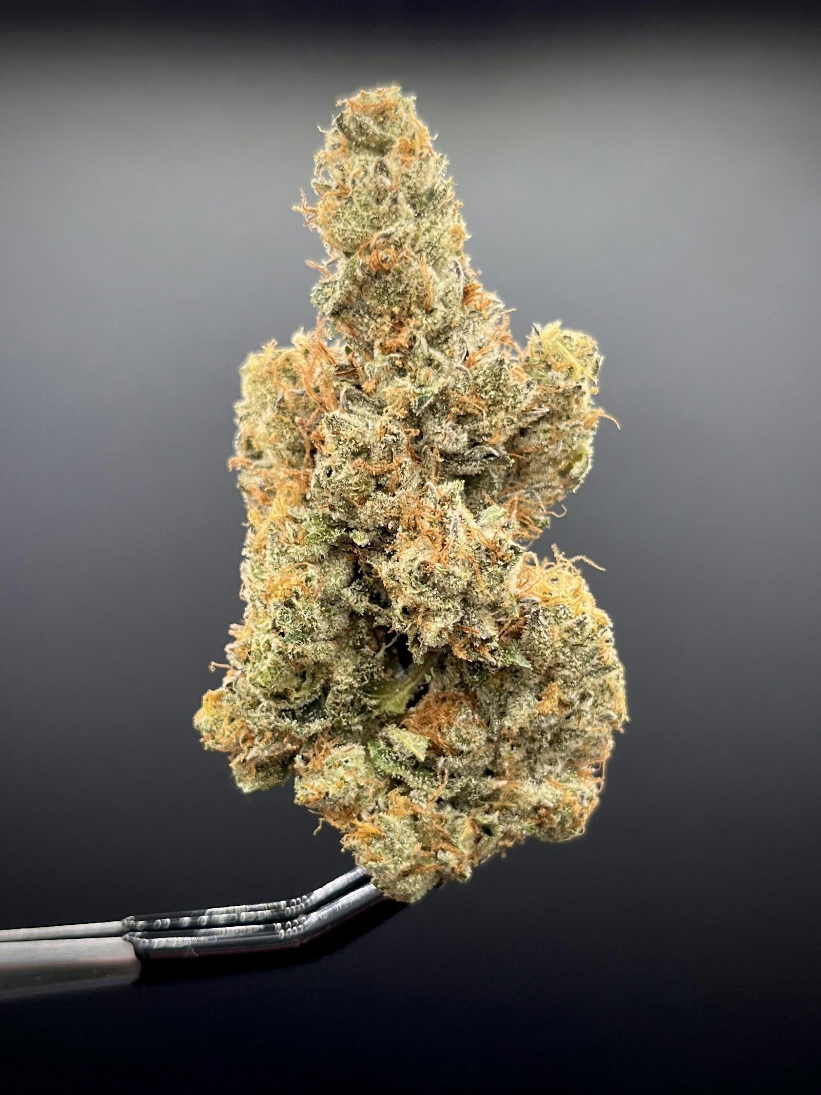 Valhalla Cannabis Co. - Garlic Sauce
