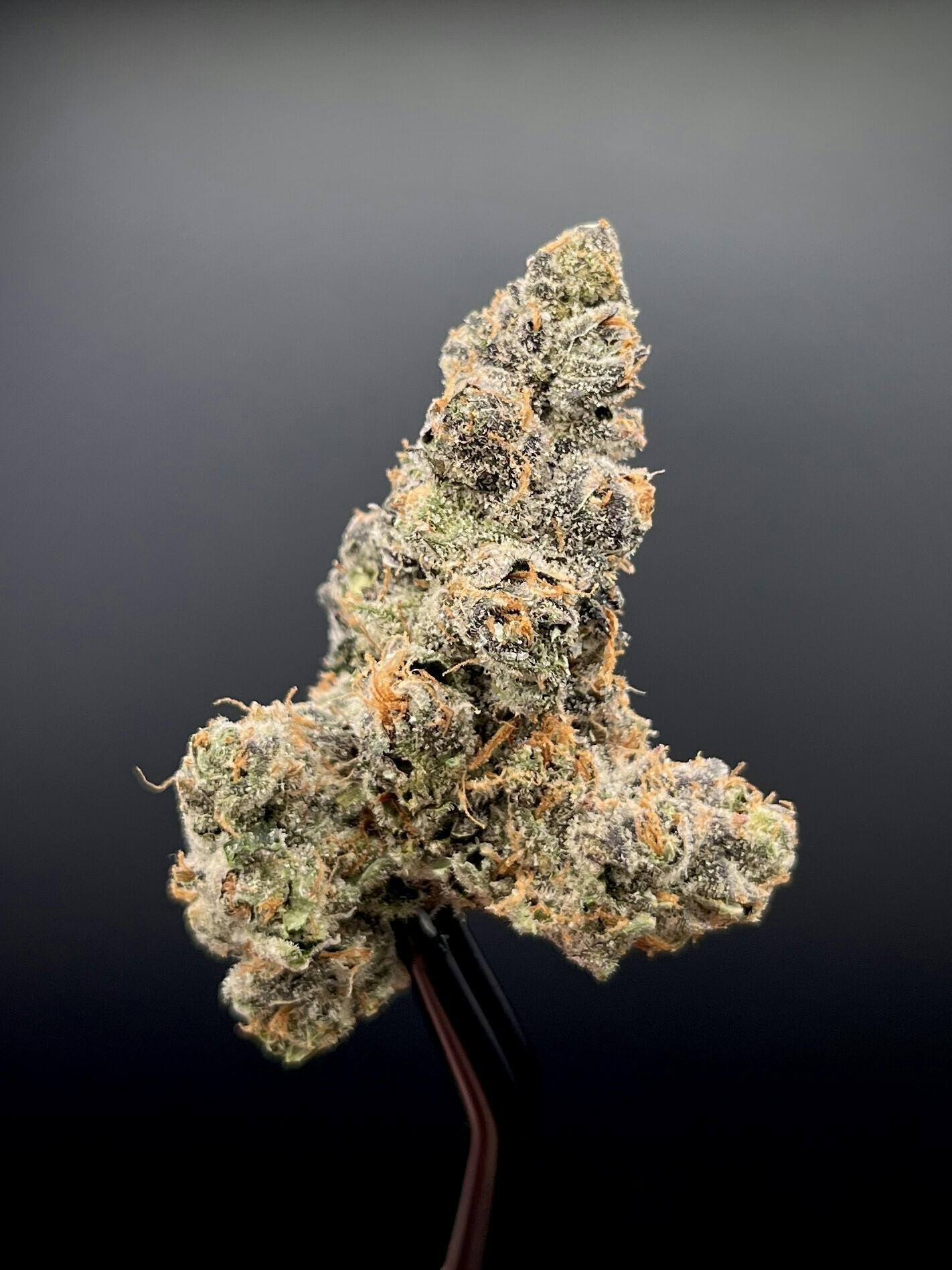 Valhalla Cannabis Co. - Payzos