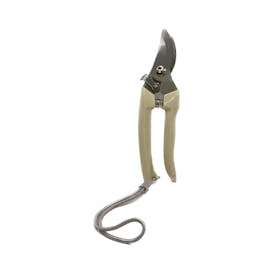 Pruning Shears