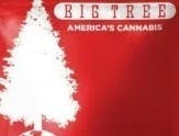 Big Tree - Spartan Kick: 1g Diamonds