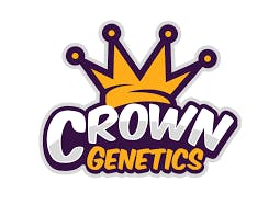 Crown Genestics - Zabores: 3.5g Flower