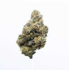 Daze Off - Dutch Treat: 3.5g Flower