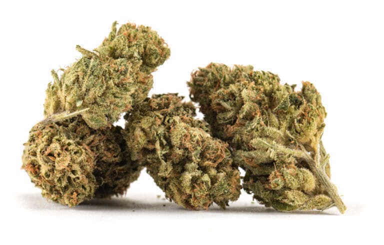 Confetti Cake | 3.5g Flower