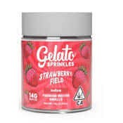 Gelato - Strawberry Field: 14g Sprinkles Flower