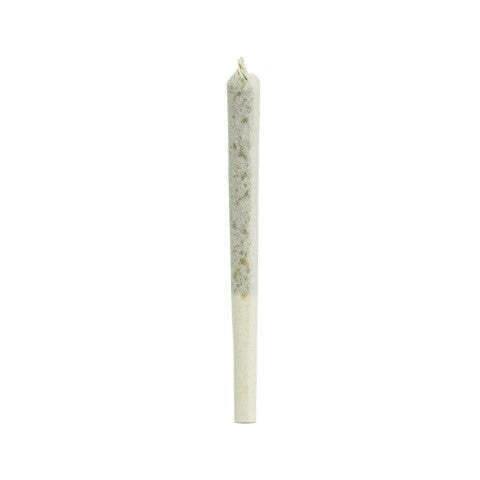 1964 - Comatose Pre-roll 1x1g >I