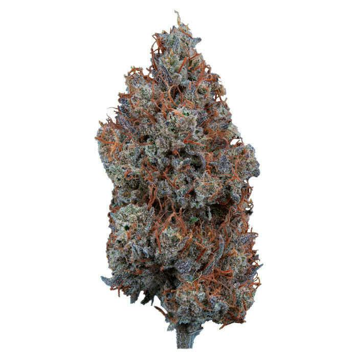 Sweetgrass Organic Cannabis - Craft Mystic Mountain 1x3.5g >S