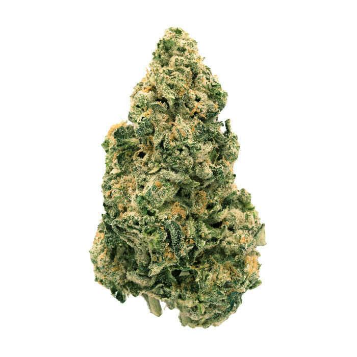 Back Forty - Galactic Jack 1x7g >S