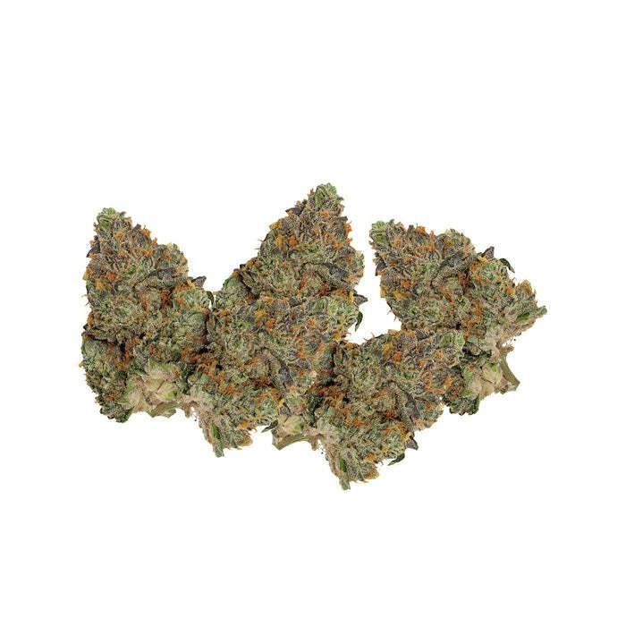 Pistol and Paris - Blue Zushi Smalls 1x3.5g >I