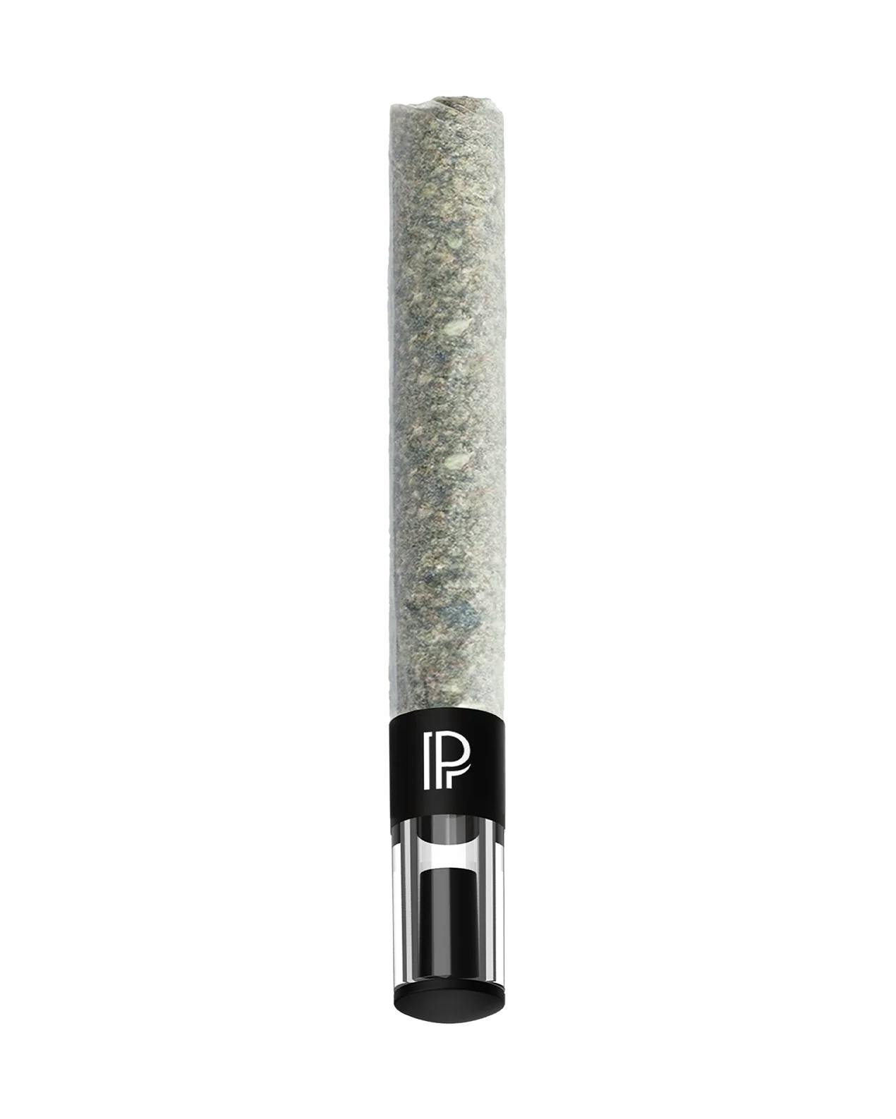Pistol and Paris - Permanent Chapo Pre-roll 1x2g >I