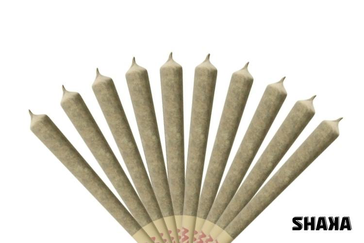 Shaka Flower Preroll (10x1g) Trilla