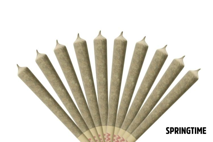Springtime Flower Preroll (10x1g) Georgia Pie