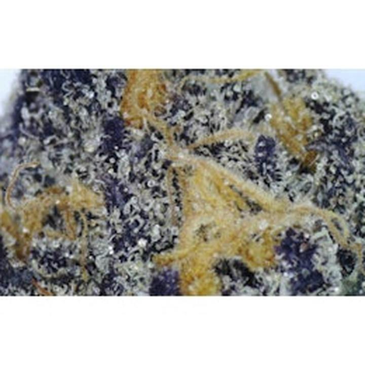 Palm Fruit - Loose