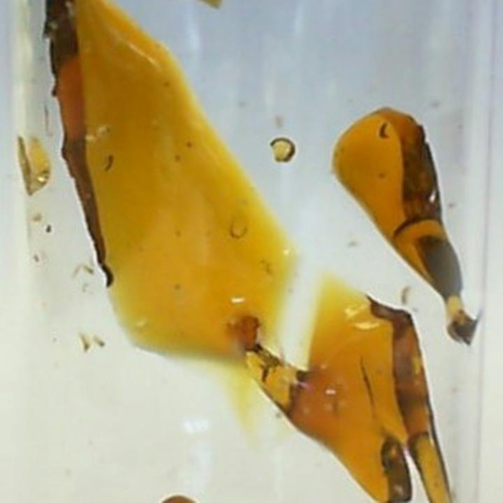 Wedding Sunset Shatter - 1000mg