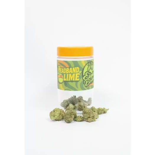 Eighth Brother — Headband Lime