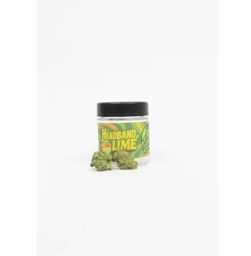 Eighth Brother — Headband Lime