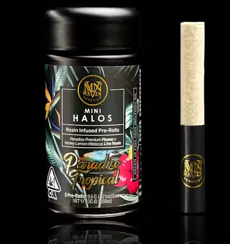 Maven: Paradiso Tropical