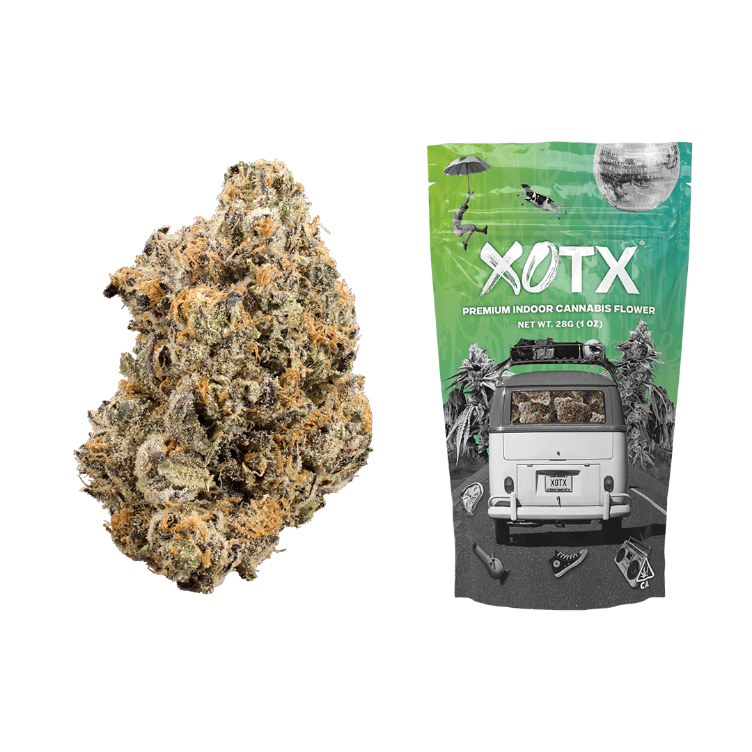 XOTX — Gasnana