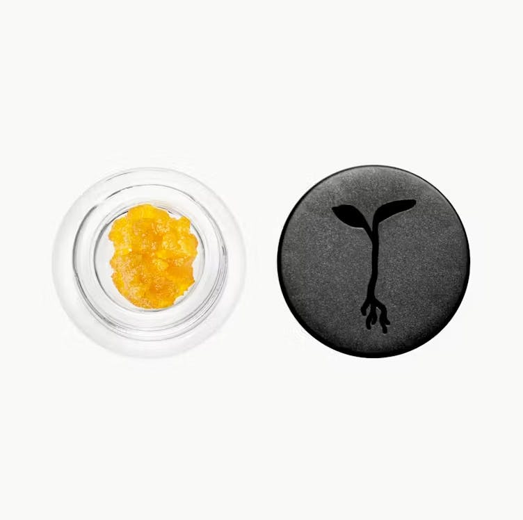 Raw Garden — Wave Rider