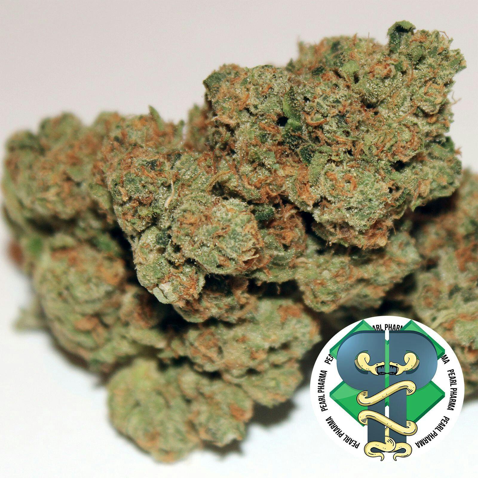 Pearl Pharma: Pearl OG