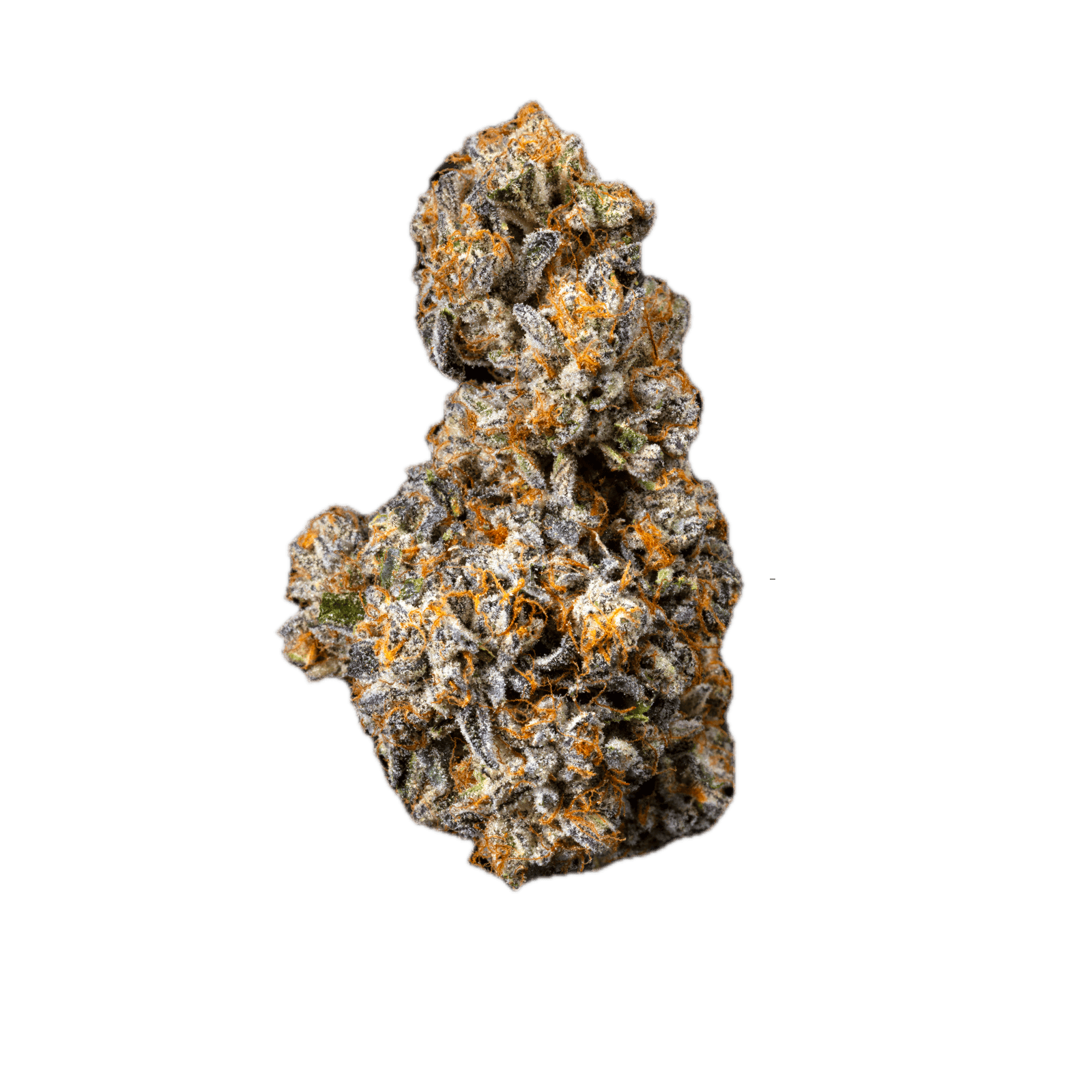 Bosky Genetics: Kookie Dough