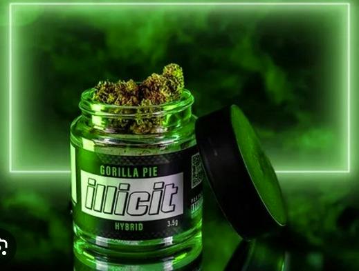 Illicit - Gorilla Pie - Flower 3.5g