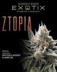 Ztopia - Flower 3.5g