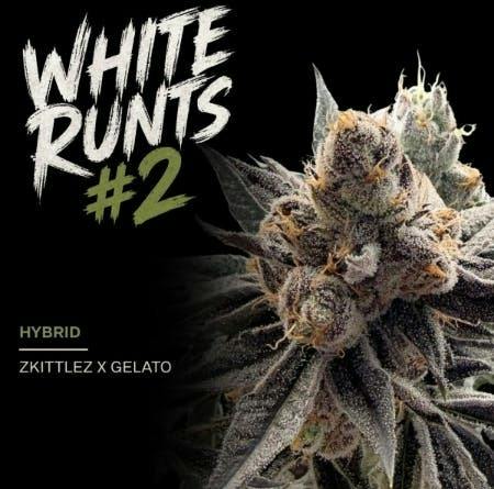 White Runtz #2 - Flower 3.5g
