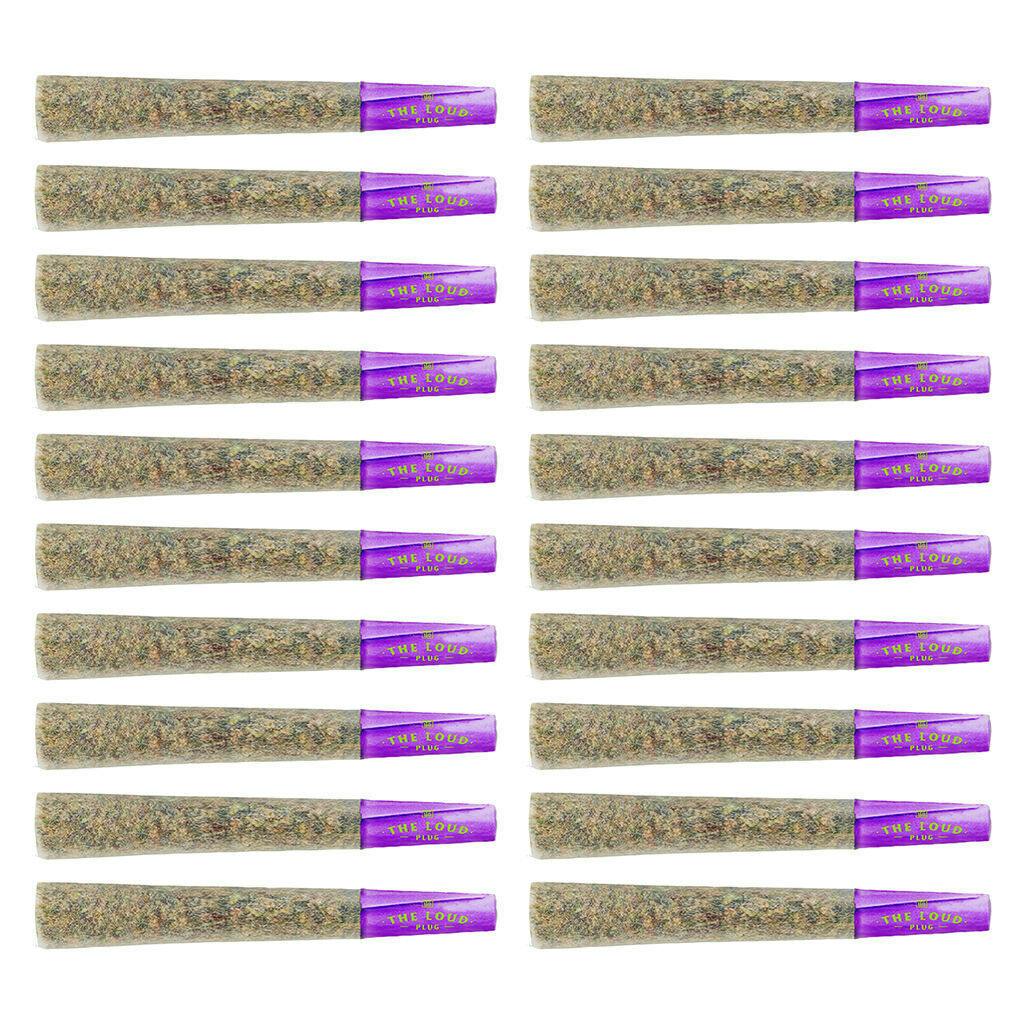 The Loud Plug - Venom Pre-Roll - Indica - 20x0.5g