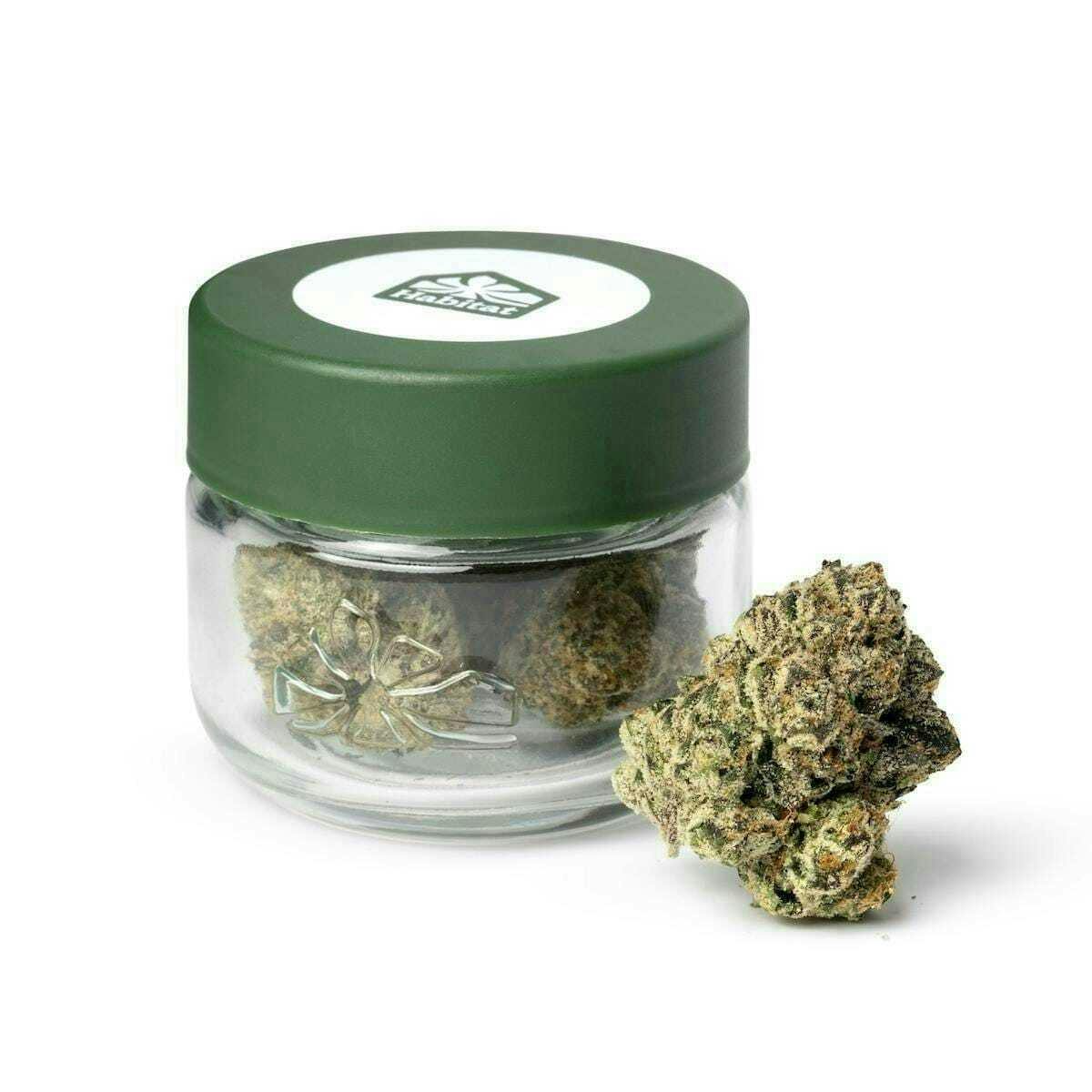 Habitat - Space Lemonade | 3.5G [H] - 3.5 grams