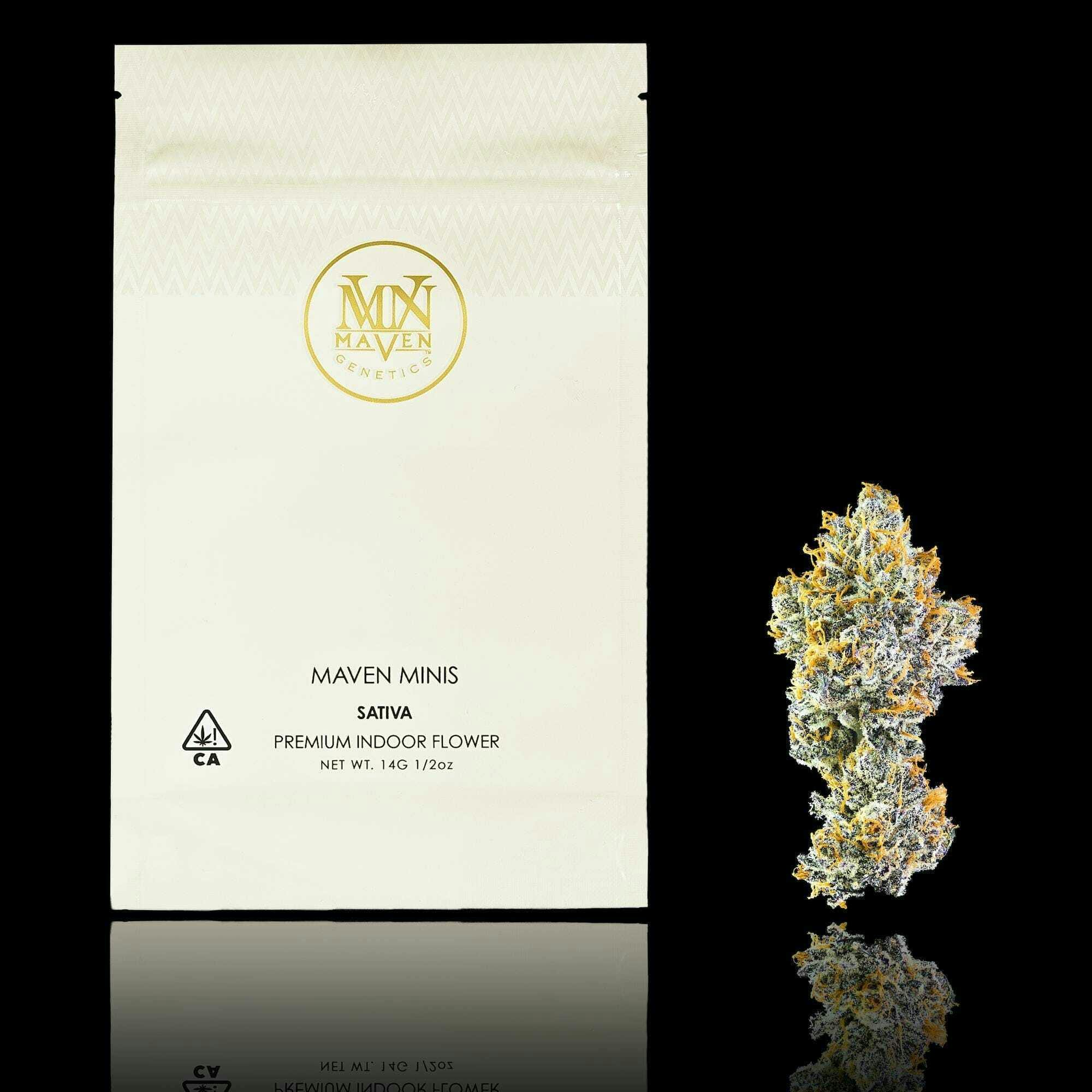 Maven - Orange Bellini | Smalls | 14G | [S] - 14 grams