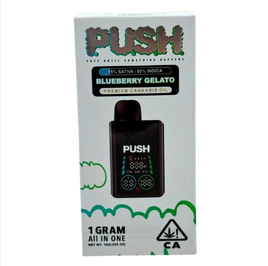 Push - Blueberry Gelato | AIO | 1G [I]