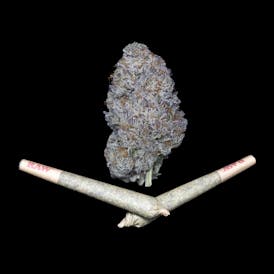 Pre-Roll 2pk | Electric Punch