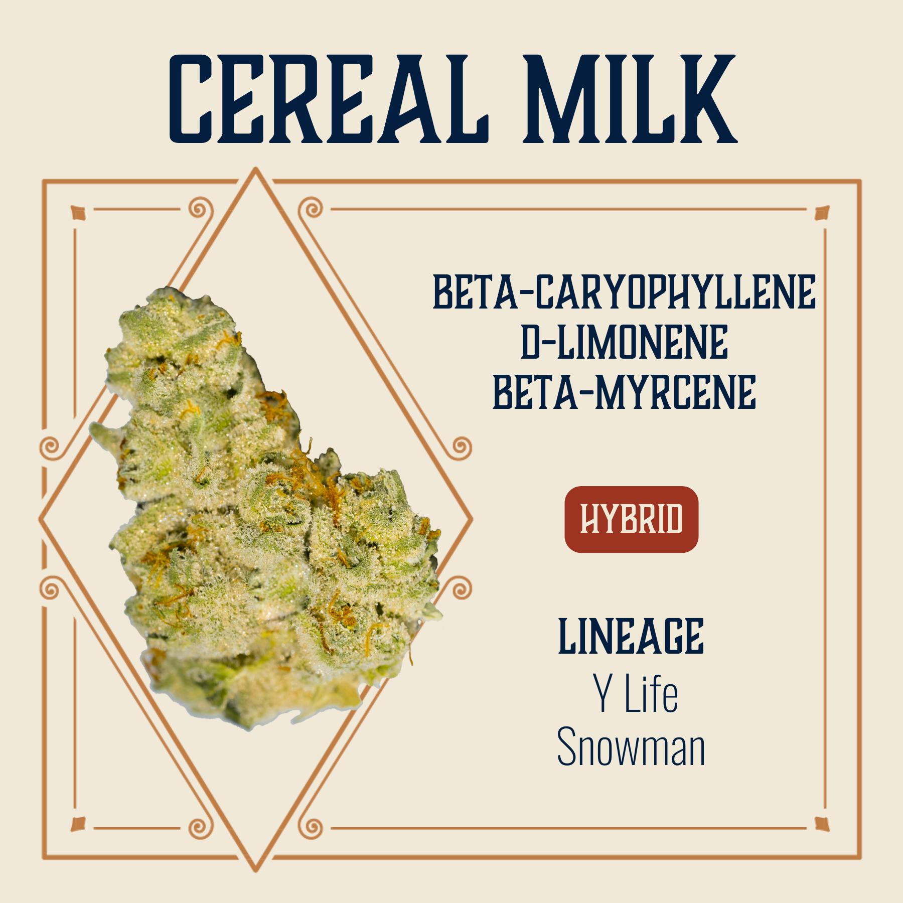 Cereal Milk