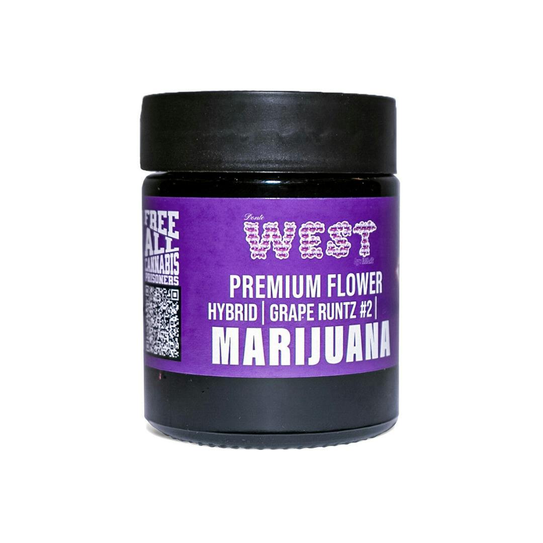 Grape Runtz | Premium Popcorn Flower