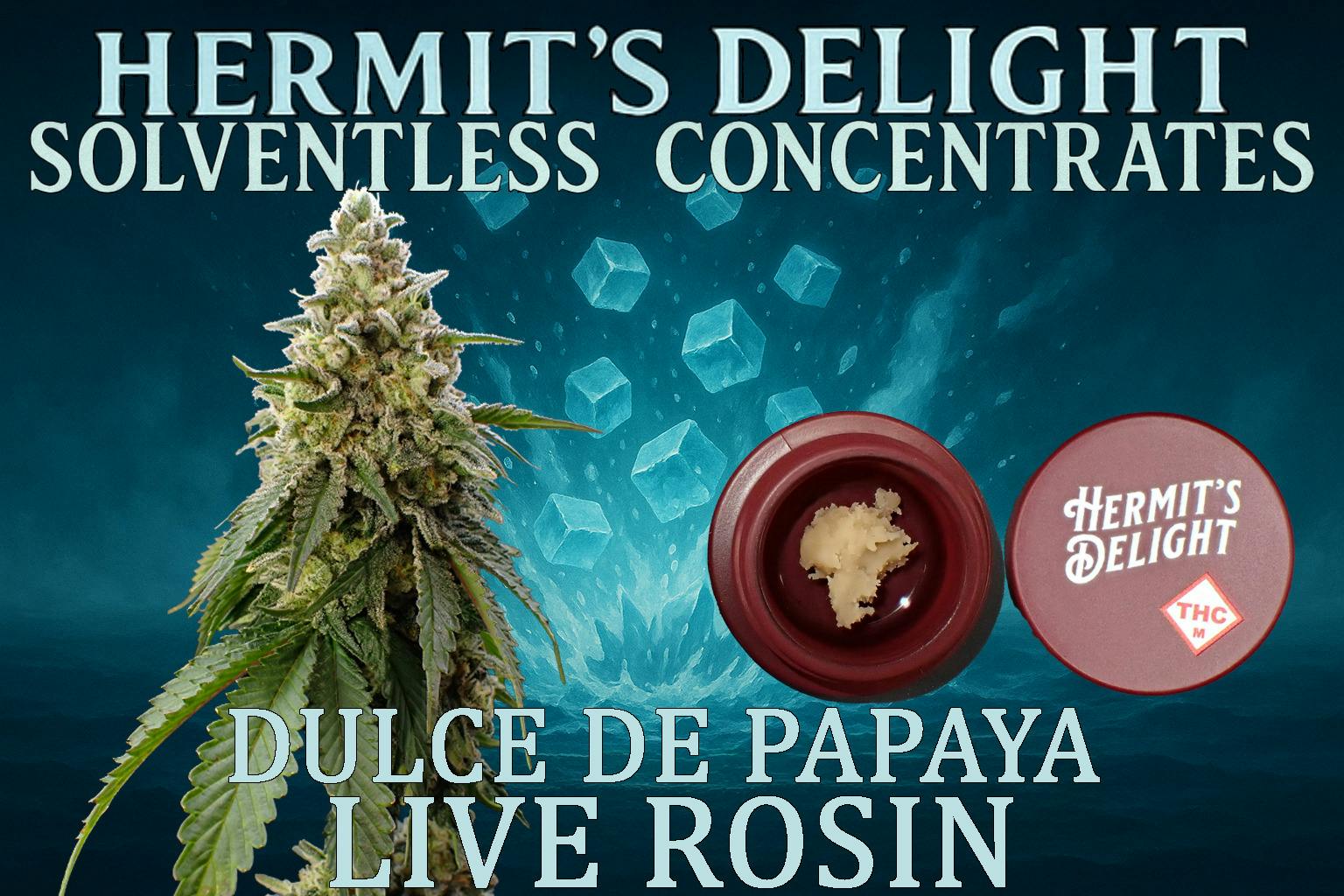 Dulce De Papaya | Live Rosin Puck