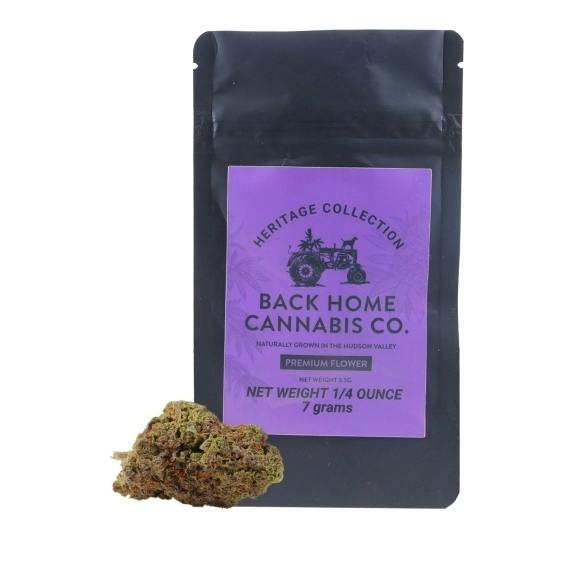 Back Home | Flower | Northern lights (I) | 7g