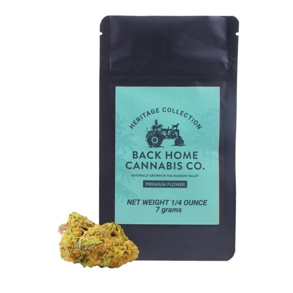 Back Home | Flower | Jack Herer (S) | 7g