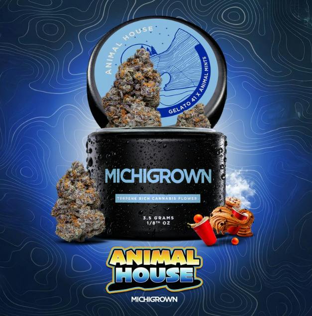 Animal House - Platinum Tier cannabis product