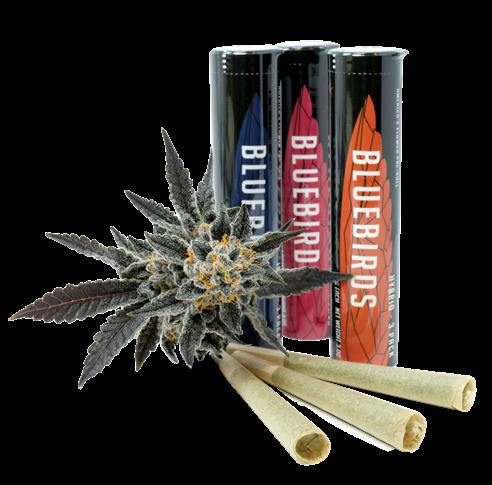 Devil Driver 3pk